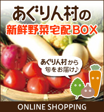 あぐりん村の新鮮野菜宅配BOX